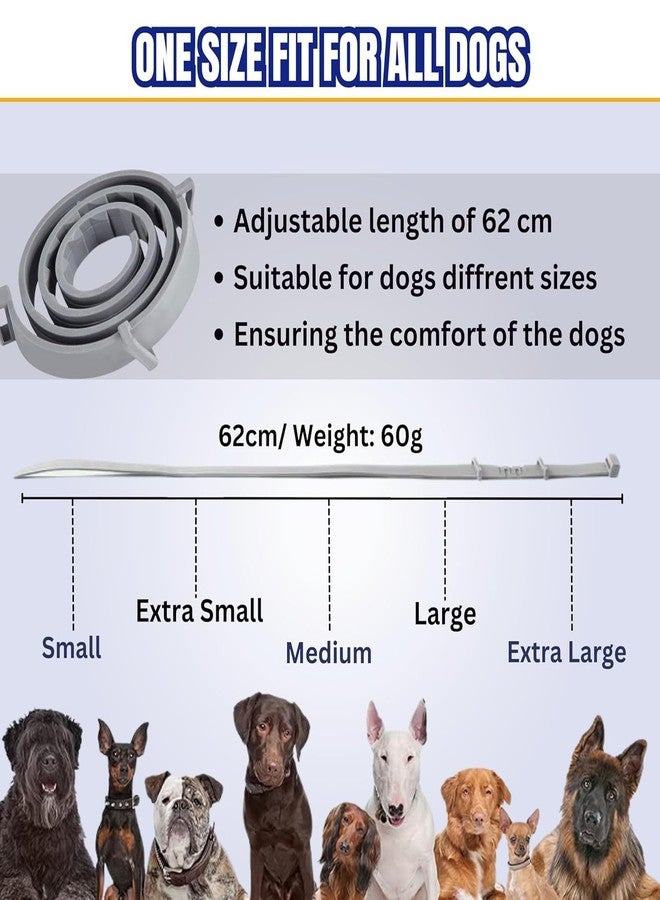 JD PRO | Adjustable Waterproof Flea & Tick Collar for Dogs - 8-Month Protection with Natural, Safe Ingredients | Adjustable, Safe, and Water-Resistant Dog Collar for All Breeds | (Pack of 1) - Image 4